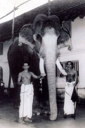 слон Кешаван